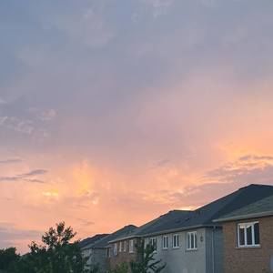 Meet your Posher, Aryana